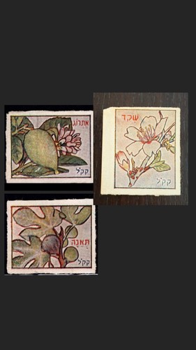 1934 jnf kkl francobolli - 1934,